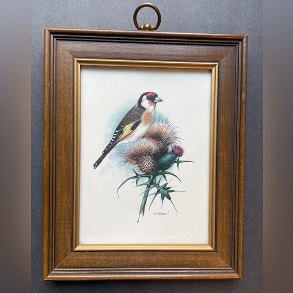 Art Vintage Framed Bird Print Poshmark